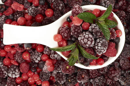 Baies et feuilles surgelées
