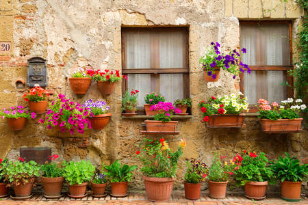 Květinové domy v Spello