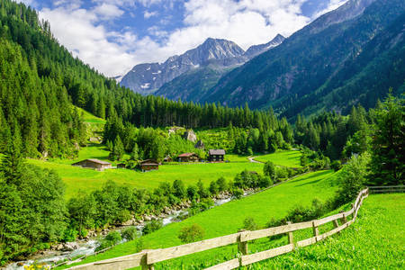 Austrian meadows