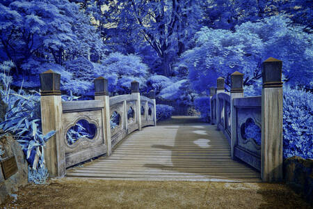 Brücke im blauen Wald