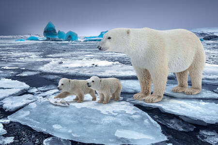 Polar she-bear with cubs