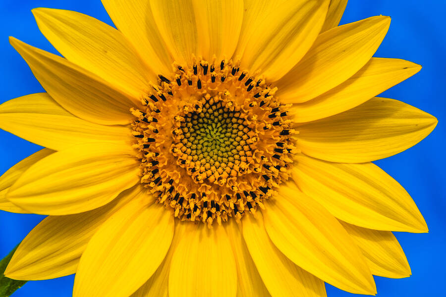 Sherwood Radio live - Nottingham, United Kingdom | Online Radio Box