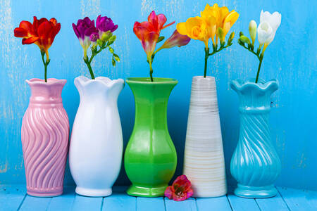 Freesien in verschiedenen Vasen