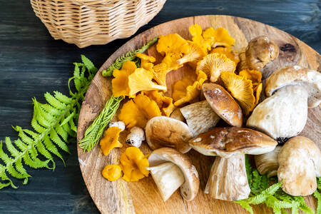Chanterelles and white mushrooms