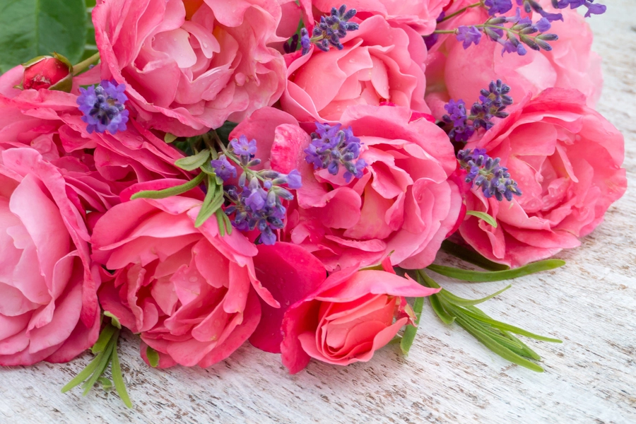 Ramo de rosas y lavanda