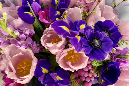 Bouquet d'iris et de tulipes