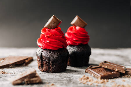 Chocolate cupcakes