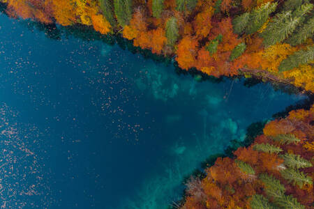 Meer met herfstbos