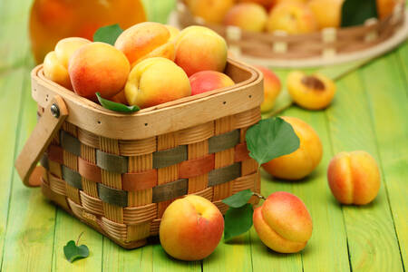 Panier d'abricots