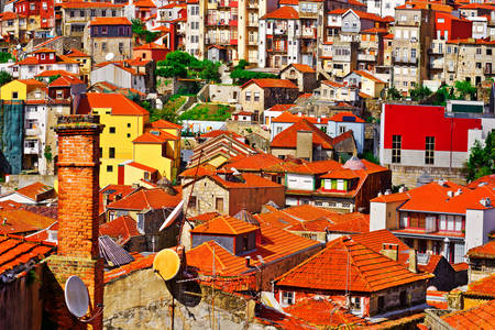 Porto şehrinin çatıları