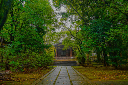 Toshima area