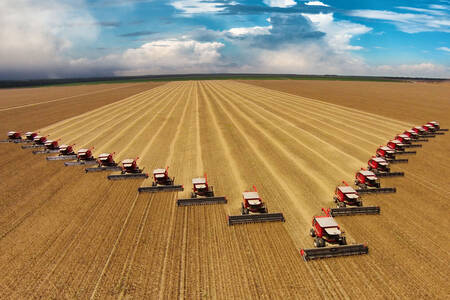 Combines in the field