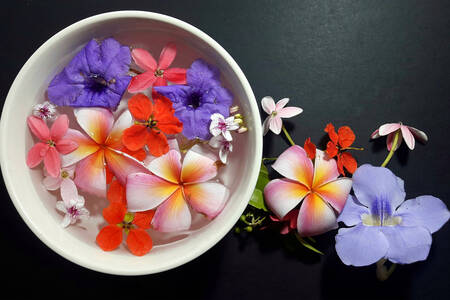 Renkli tropikal çiçekler