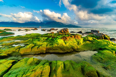 Rocce sulla spiaggia di Da Nang