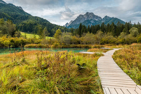 Zelenci Természetvédelmi Terület, Szlovénia