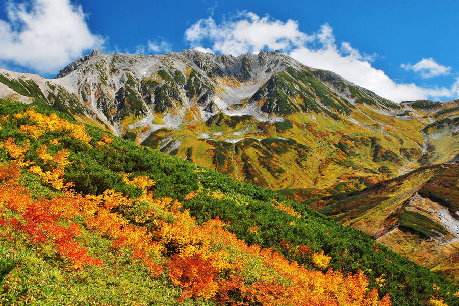 Radios de Cuenca, Ecuador — Emisoras en Vivo Online Radio Box