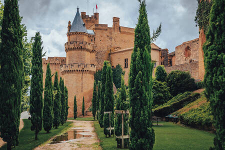 Palacio-Castillo de Olita