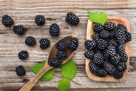 Blackberries on a wooden table