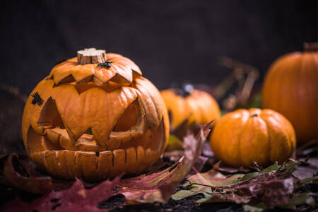 Dýně Jack-o'-lantern na listech