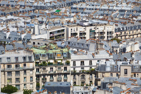 Rooftops in the center of Paris