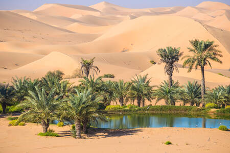 Remah Desert