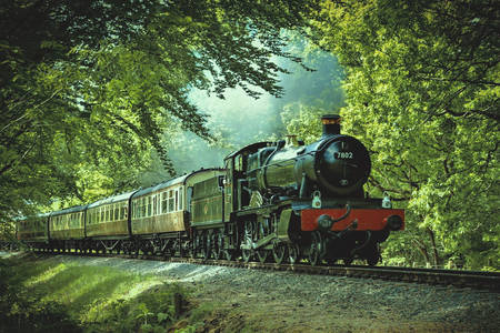 Locomotive à vapeur sur le chemin de fer