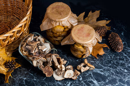 Cogumelos em conserva e secos