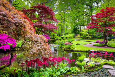 Jardín japonés en la Haya