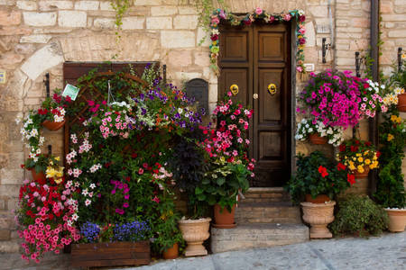 Vasos de flores na porta da frente