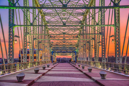 Ponte pedonal John Zeigenthaler