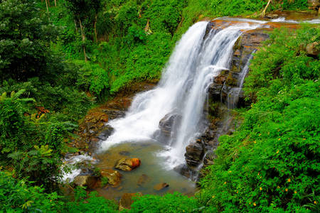 Vodopády Srí Lanky