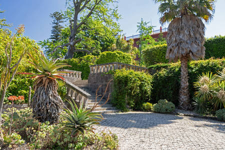 Ботанический сад Порту
