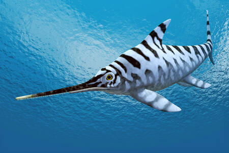 Ichthyosaurus in the sea