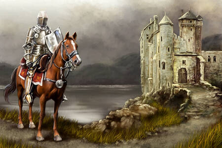 Knight at the castle