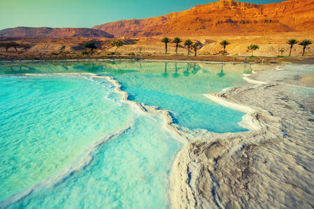 Dead Sea coast