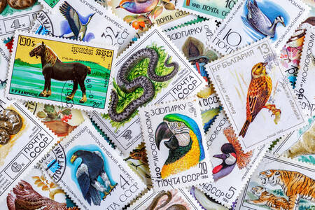 Briefmarken aus verschiedenen Ländern und Epochen