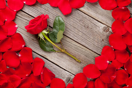 Роза в сердце из лепестков