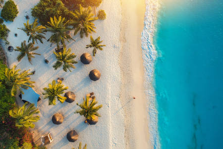 Spiaggia di palme