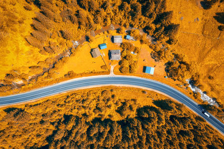 A estrada na floresta laranja