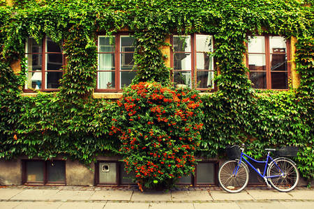 Фасад здания в Копенгагене