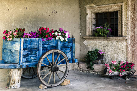 Košík s květinami ve starém domě