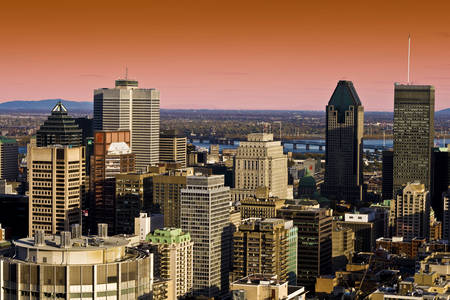 Montreal şehrinin gökdelenlerinin görünümü