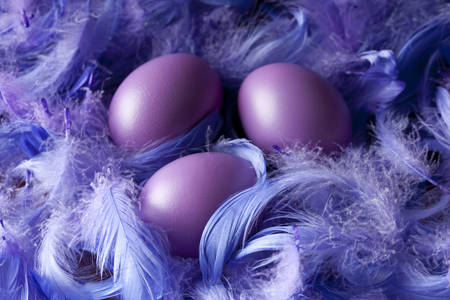 Пасхальные яйца на фоне перьев