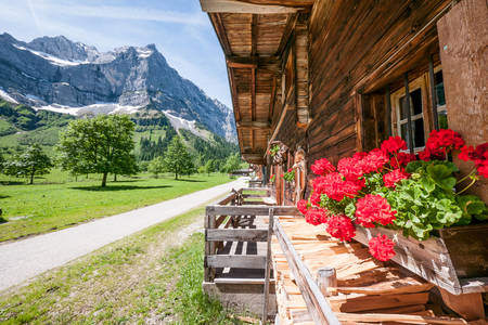 Farm på Mount Kardel