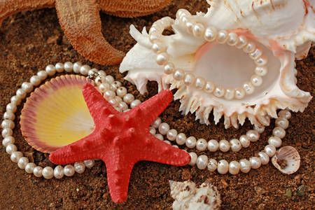 Gyöngyök, tengeri kagylók és tengeri csillagok