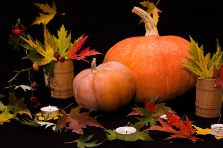 Pumpkins and autumn leaves