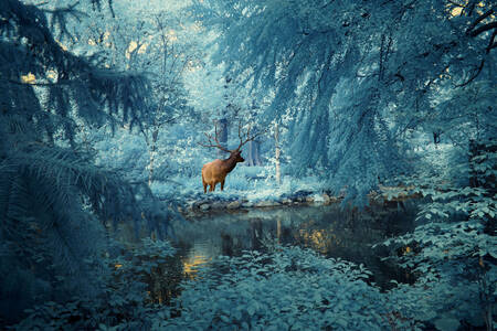 Jeleń w zimowym lesie