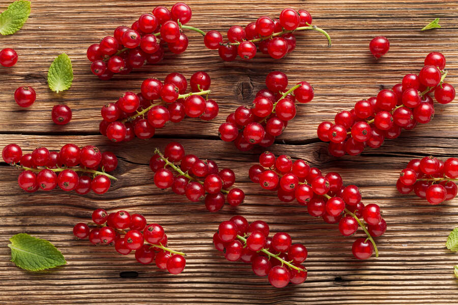 Radios de Zacatecas, México — Emisoras en Vivo Online Radio Box