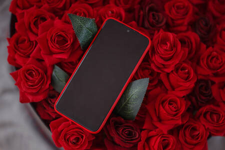 Smartphone su rose rosse