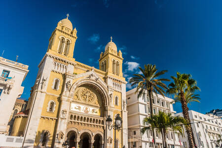 Cathedral of Saint Vincent de Paul